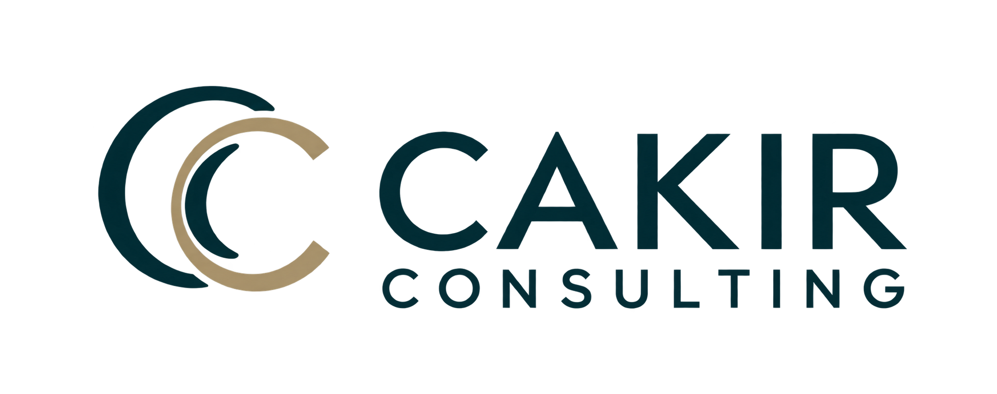 Kenan Cakir – SAP FI/CO & RAR Beratung